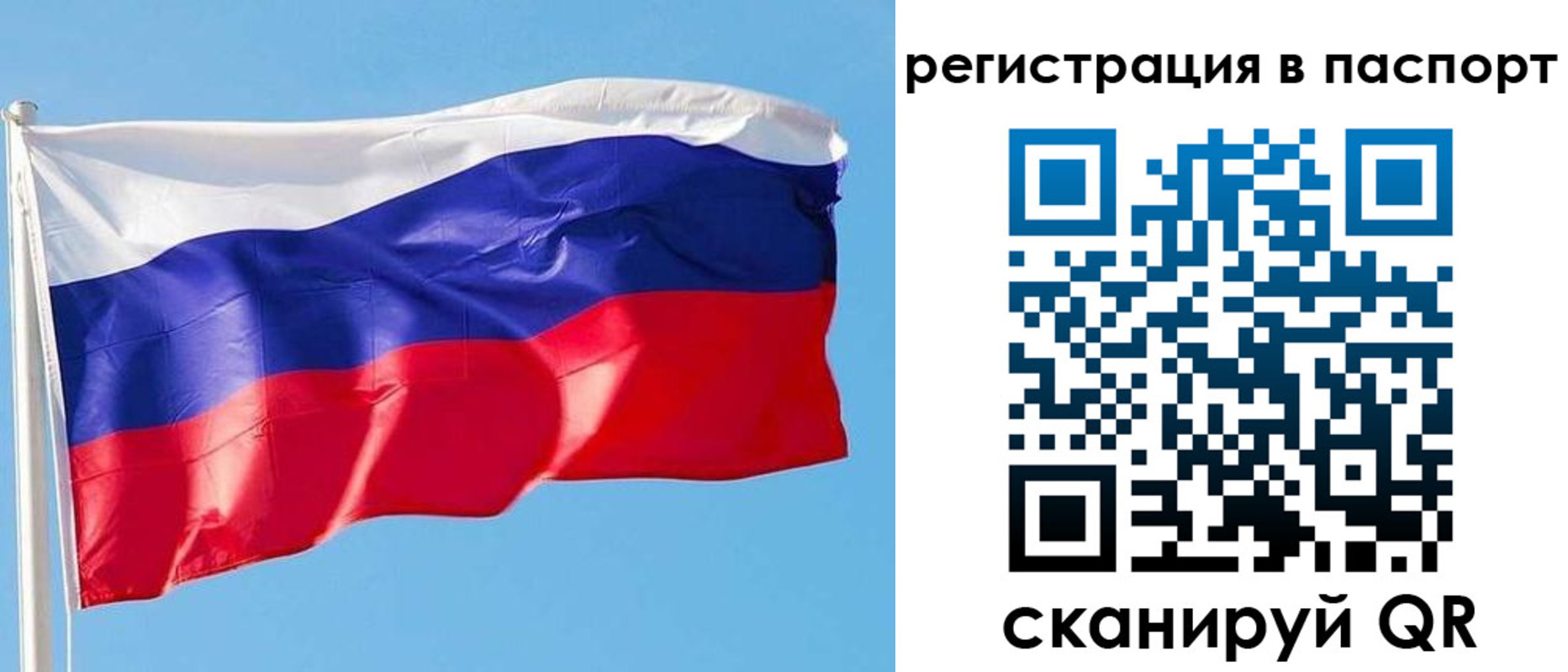 прописка законно в Оленегорске