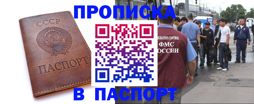 временная регистрация поиск в Оленегорске